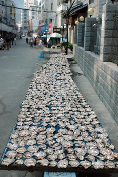 Drying fish in Hunan province. Pieces of fishes cut and exposed to the sun.