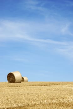 summer landscape with hay bales and deep blue skyscape