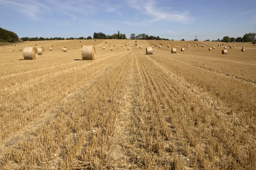 summer landscape with hay bales and deep blue skyscape