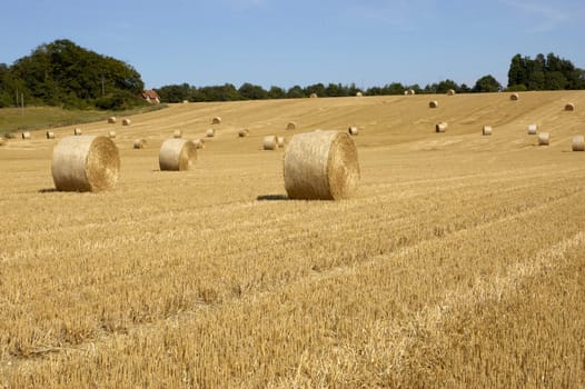 summer landscape with hay bales and deep blue skyscape