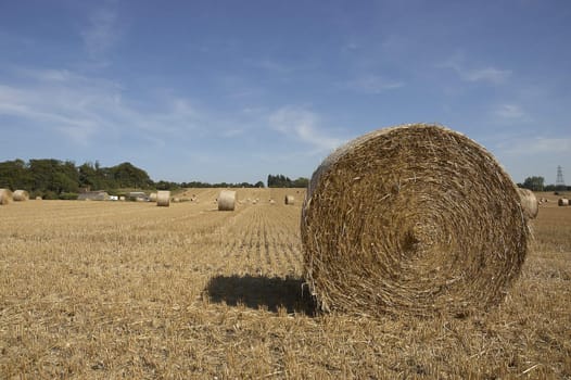 summer landscape with hay bales and deep blue skyscape