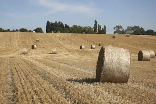 summer landscape with hay bales and deep blue skyscape