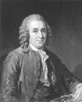 Carl Linnaeus (1707-1778) on engraving from the 1800s.
Swedish botanist, physician, and zoologist, known as the Father of modern taxonomy, and also considered as one of the fathers of modern ecology. Engraved by C.E.Wagstaff and published in London by Charles Knight, Ludgate Street..