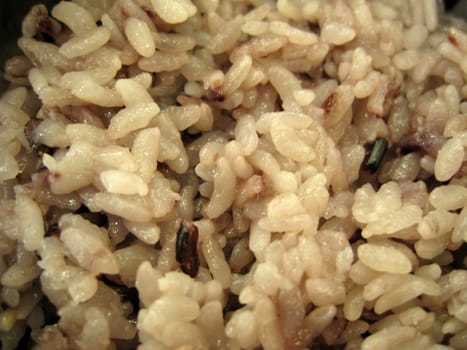 close up for cooked brown rice, detail of food