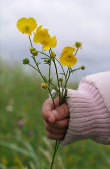 flowers held by small child