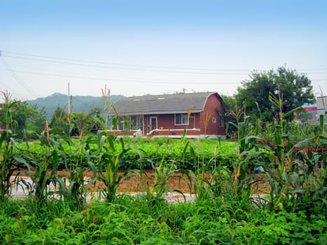 a korean house in a farm