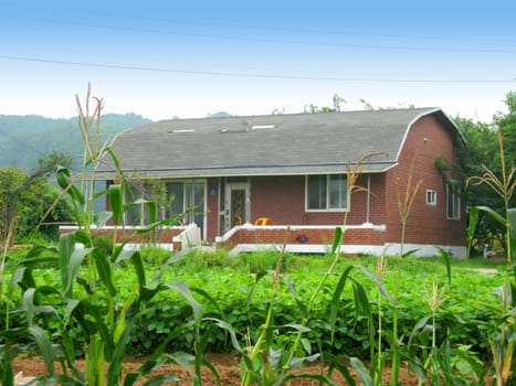 a korean house in a farm