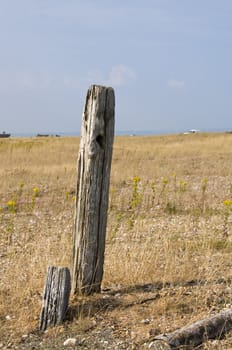 Two wooden posts on the beach