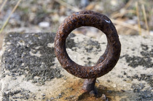 Detail of a rusty loop  on a stone