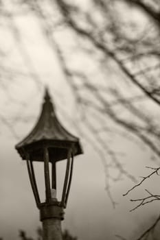 An old post lamp with a dark winter sky and fruit tree branches in the background.