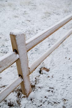 New cedar split rail fence, shot on a winter morning, under a sunless sky.