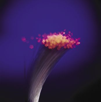 Closeup detail of a fiber optic bundle with glowing red tips.