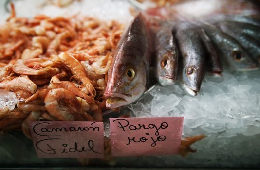Fish and shrimp for sale in a Costa Rican market