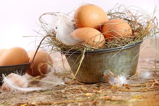 Brown eggs in old tin plate with feathers and straw