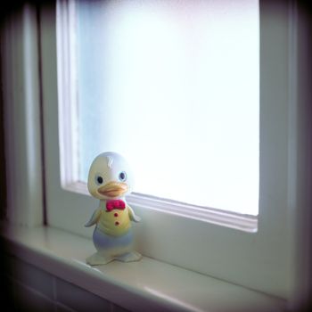 Rubber Duck, most often used as a distraction to help the hygeine challenged achieve clenliness.