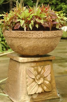 Large flower pot full of leaves by the stairs