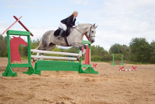 show jumping.girl riding horse and jumping