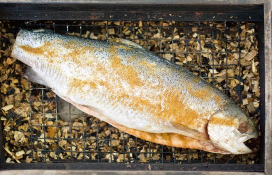 fresh trout lying in the smokehouse with alder shavings