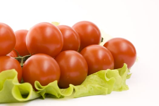 Fresh tomato branch isolated on white