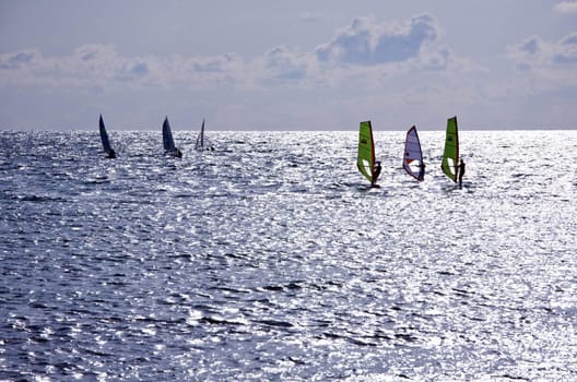 Seven windsurfers are at the Mediterranean Sea, Israel