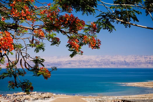 View of the Dead Sea from Israel