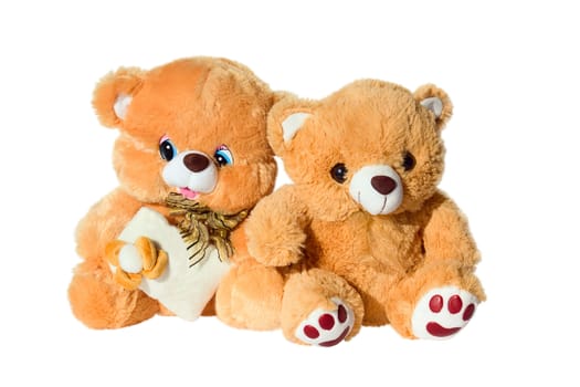 Soft two toy brown bears , isolated on a white background.