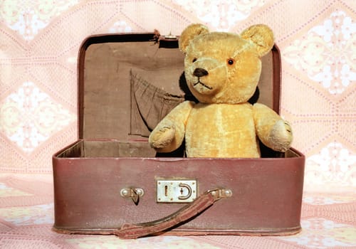 Retro Teddy bear in old shabby suitcase