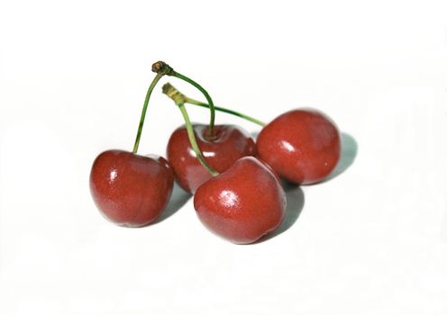 Red cherries in macro
