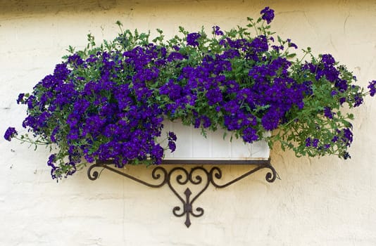 Beautiful classical design planter flowerpot on a bricks wall