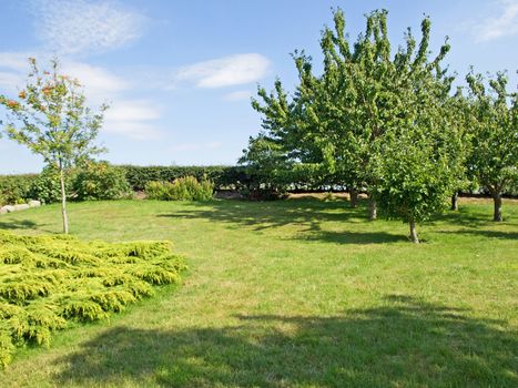 Beautiful garden with green lawn and trees