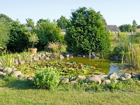 Beautiful decorative home garden fish pond with water lilies