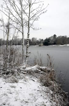 A view of a lake in winter with snow