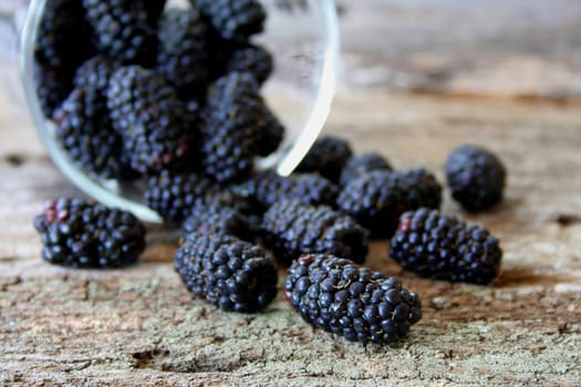 Fresh blackberries spilling out of a glass on to an old piece of wood.