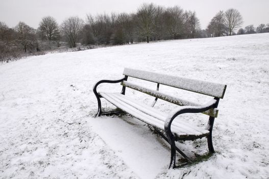 A path bench in a park covered in snow with trees in the background