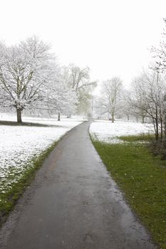 A footpath in winter with snowcovered trees and grass