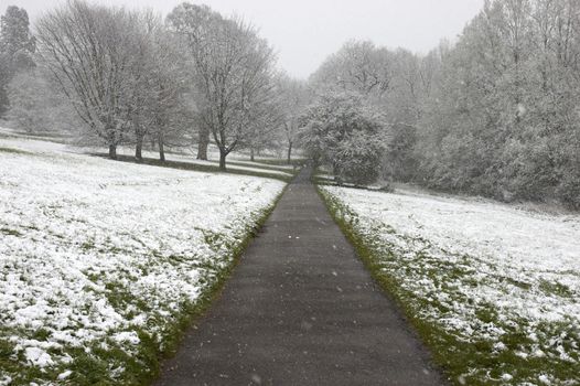 A footpath in winter with snow covered trees and grass