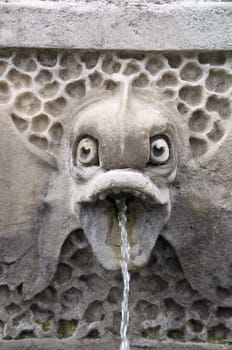 Detail of a fish fountain with water coming out of the mouth