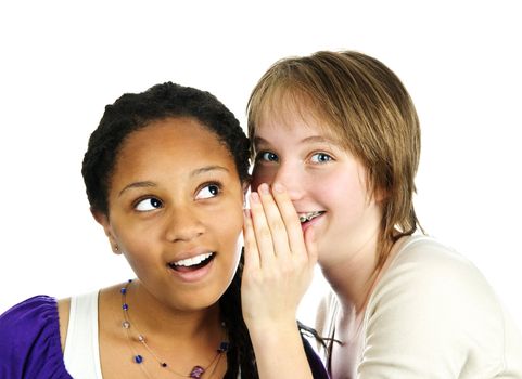 Isolated portrait of two diverse teenage girl friends whispering