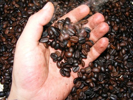 toasted coffee beans