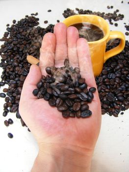 coffee cup with beans,chocolate and cinnamon