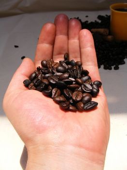 toasted coffee beans