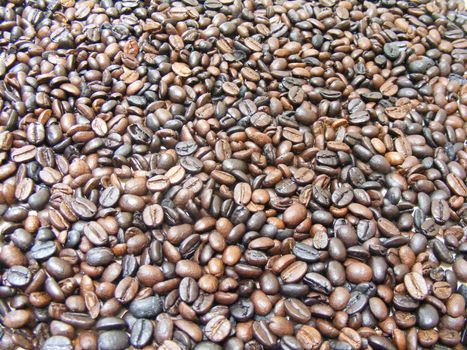 toasted coffee beans