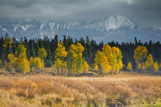 Grand Teton view on wintery day