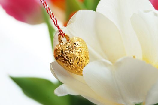 white tulip and golden heart, love concept