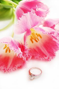 pink tulips and ring, engagement concept