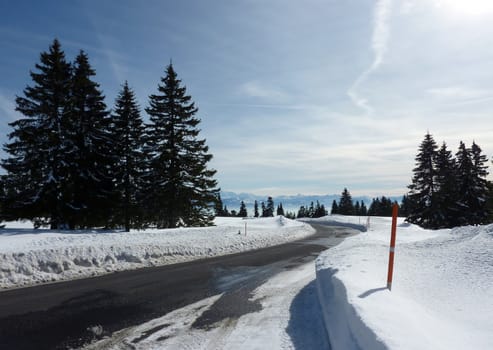Road in the mountain surrounded by fir trees and leting see a view of the Alps by beautiful weather