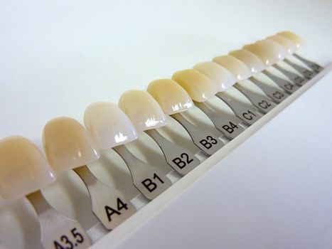 Dental shade guide with many colors for dental technician and dentist