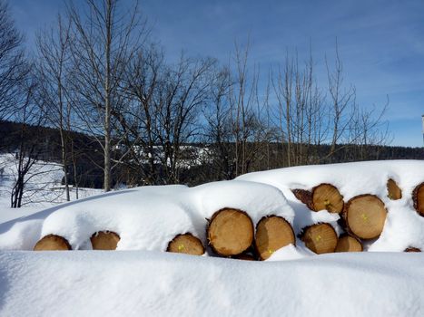 Wood logs covered by snow with winter trees behind by beautiful day