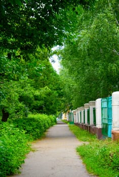 Small lane with green trees and an old fence. Ufa city.