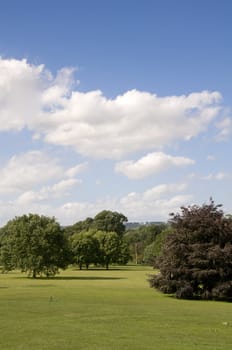 A view of parkland in summerwith a cloudy sky